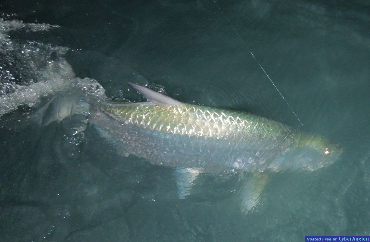 Click to Enlarge Photo