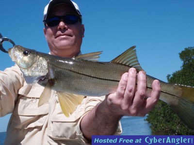 Click to Enlarge Photo