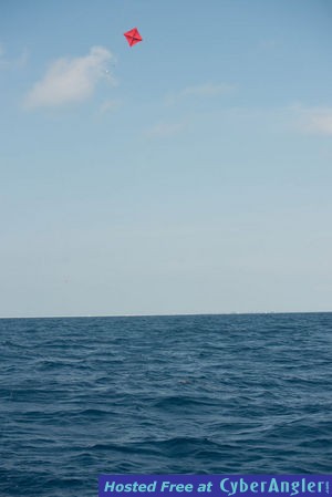 Click to Enlarge Photo