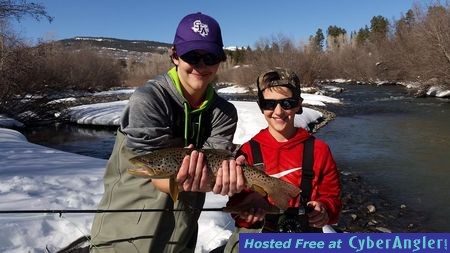 Click to Enlarge Photo