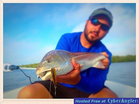 Click to Enlarge Photo