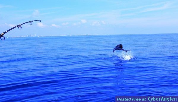 Click to Enlarge Photo