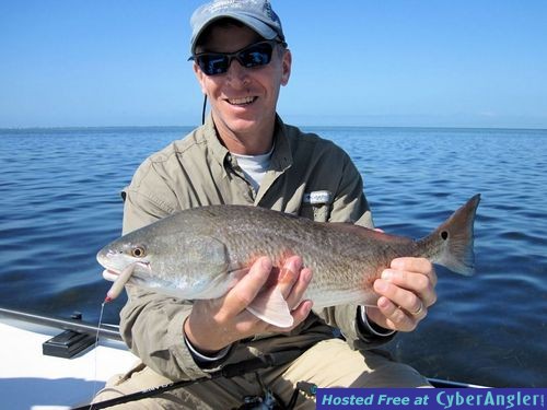 Click to Enlarge Photo