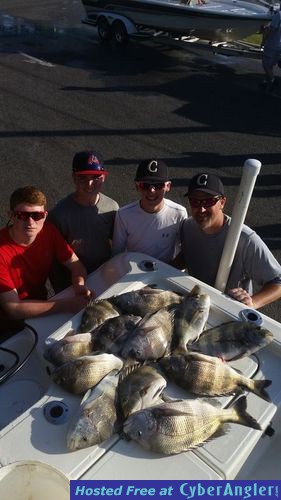 Click to Enlarge Photo