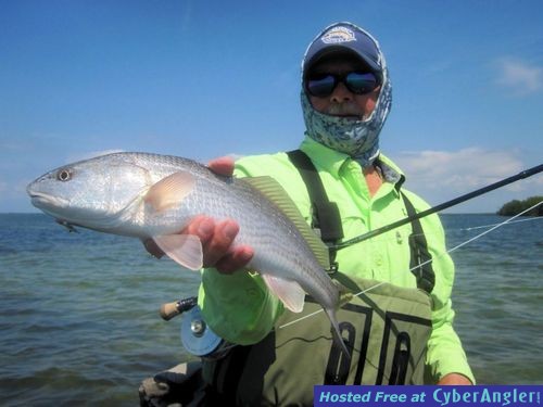 Click to Enlarge Photo