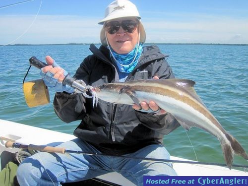 Click to Enlarge Photo