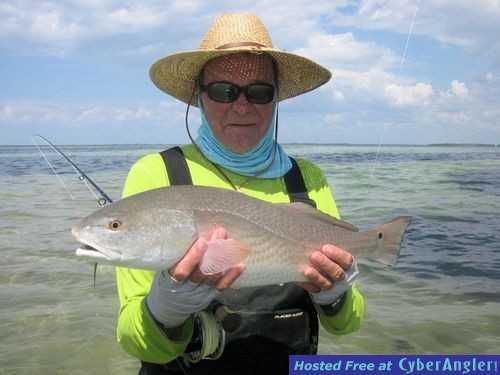 Click to Enlarge Photo