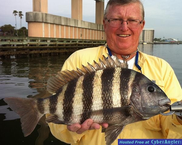 Click to Enlarge Photo