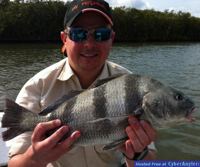 Click to Enlarge Photo