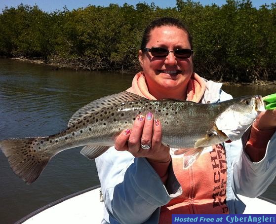 Click to Enlarge Photo