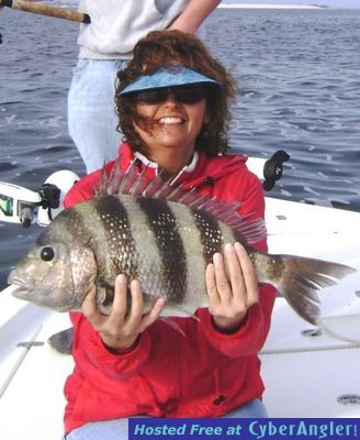 Click to Enlarge Photo