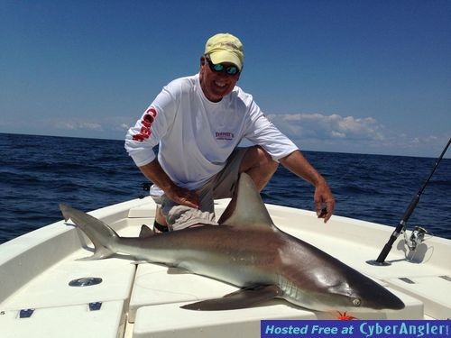 Click to Enlarge Photo