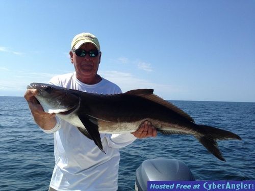 Click to Enlarge Photo