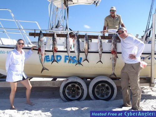 Click to Enlarge Photo