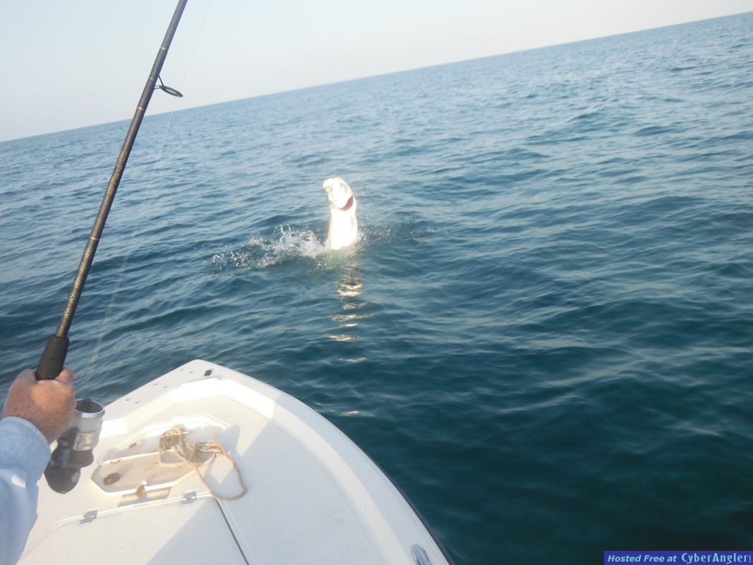 Click to Enlarge Photo