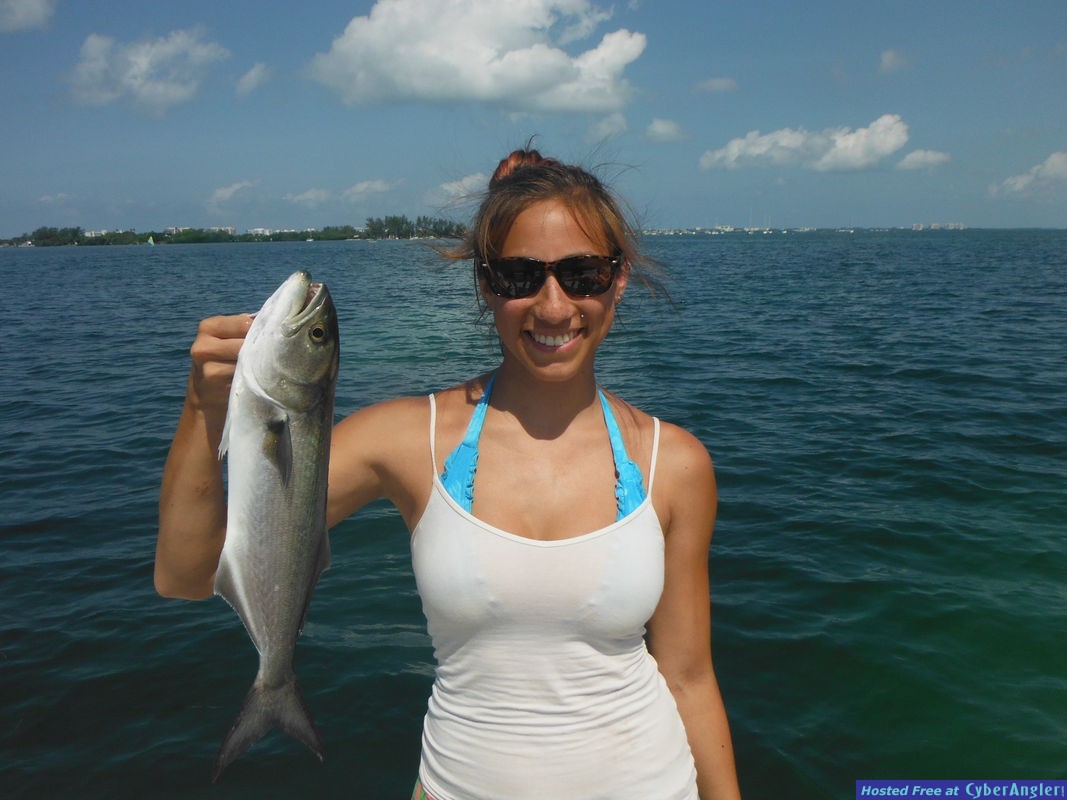 Click to Enlarge Photo