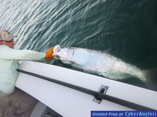 Click to Enlarge Photo