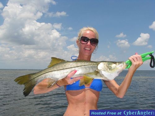 Click to Enlarge Photo