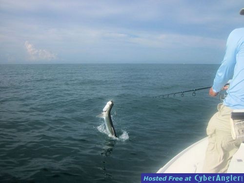 Click to Enlarge Photo