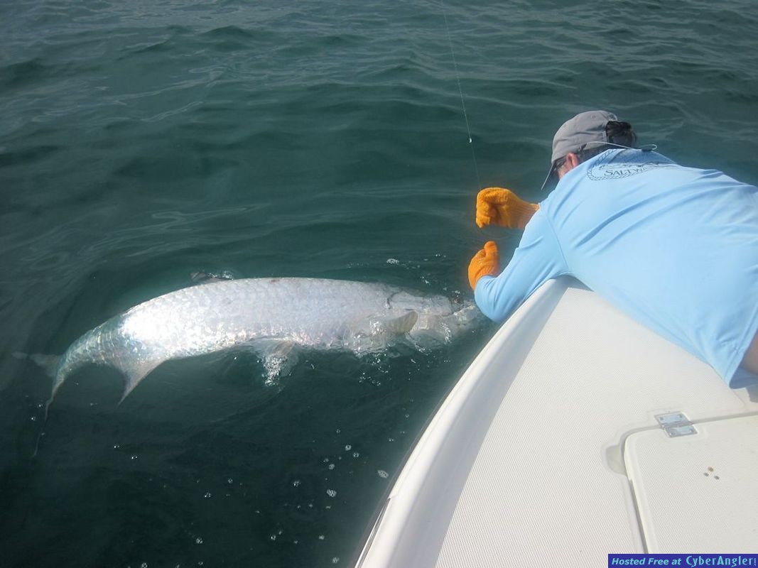 Click to Enlarge Photo