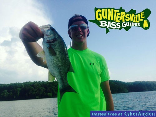 Click to Enlarge Photo