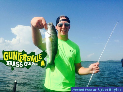 Click to Enlarge Photo