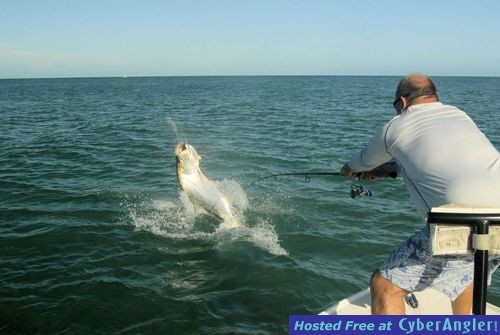 Click to Enlarge Photo