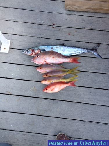 Click to Enlarge Photo