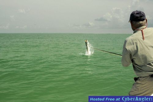 Click to Enlarge Photo