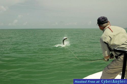 Click to Enlarge Photo