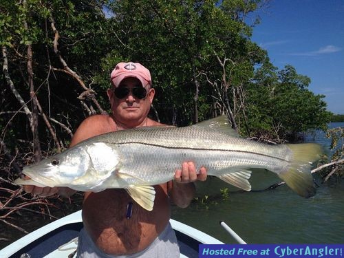 Click to Enlarge Photo