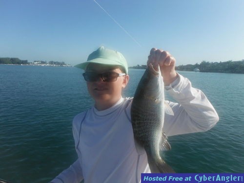 Click to Enlarge Photo