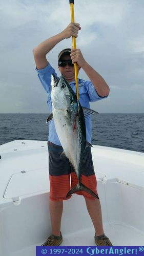 Click to Enlarge Photo