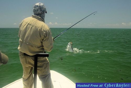 Click to Enlarge Photo