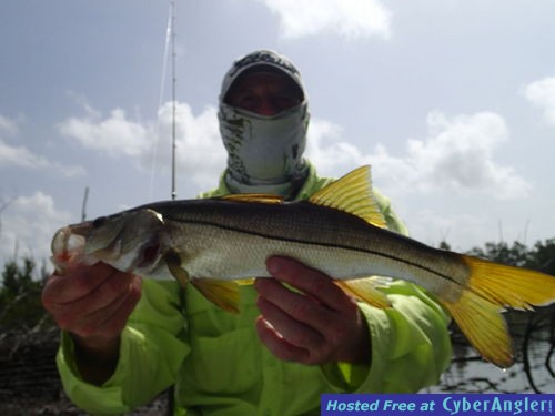 Click to Enlarge Photo