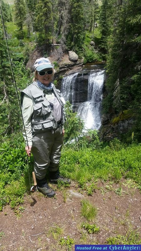 Click to Enlarge Photo