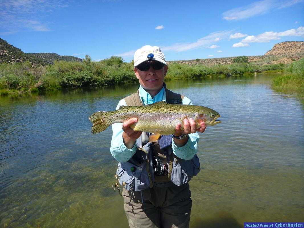 Click to Enlarge Photo