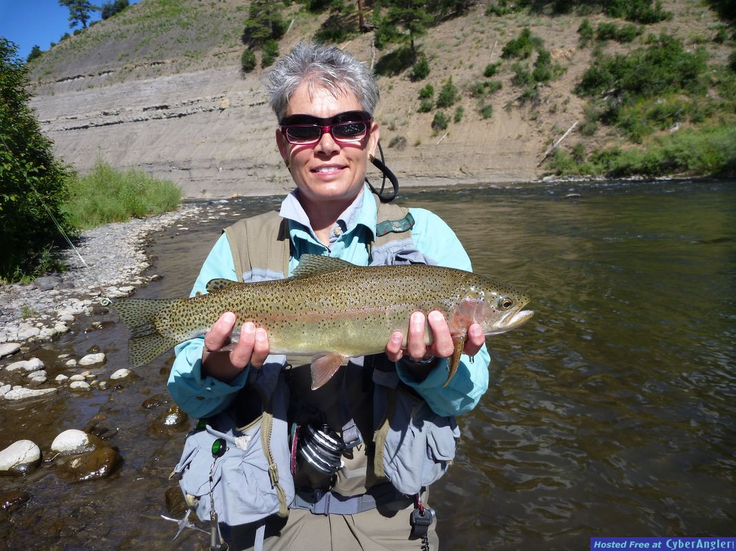 Click to Enlarge Photo