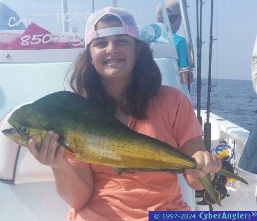 Click to Enlarge Photo