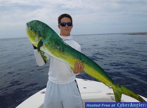 Click to Enlarge Photo