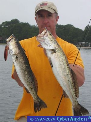 Click to Enlarge Photo