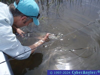 Click to Enlarge Photo