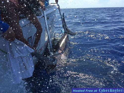 Click to Enlarge Photo