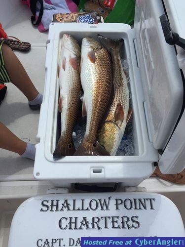 Click to Enlarge Photo