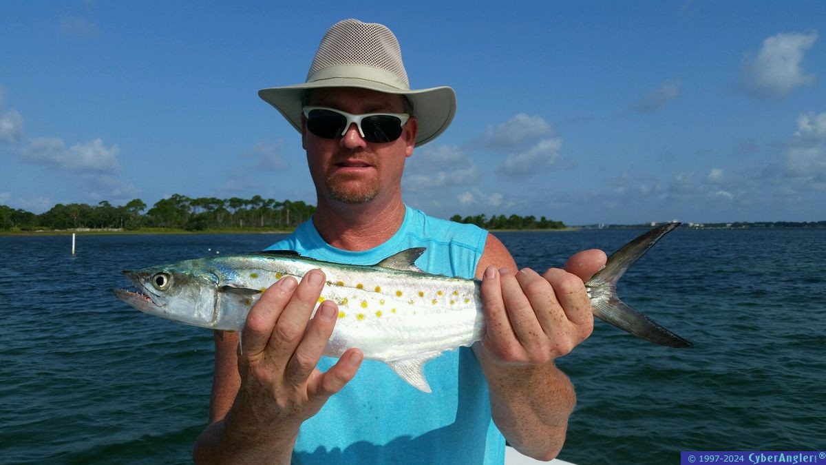 Click to Enlarge Photo