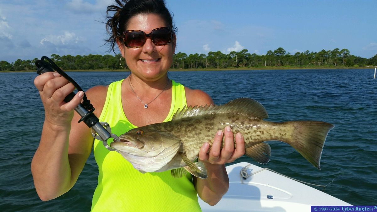 Click to Enlarge Photo