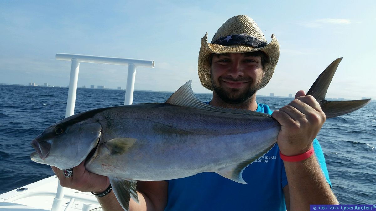 Click to Enlarge Photo