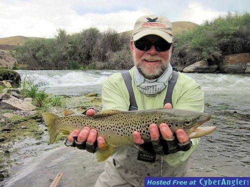 Click to Enlarge Photo