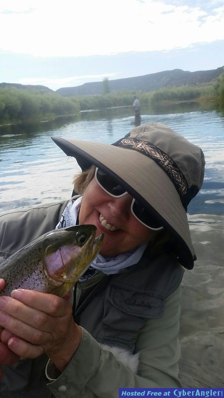 Click to Enlarge Photo