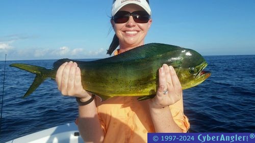 Click to Enlarge Photo